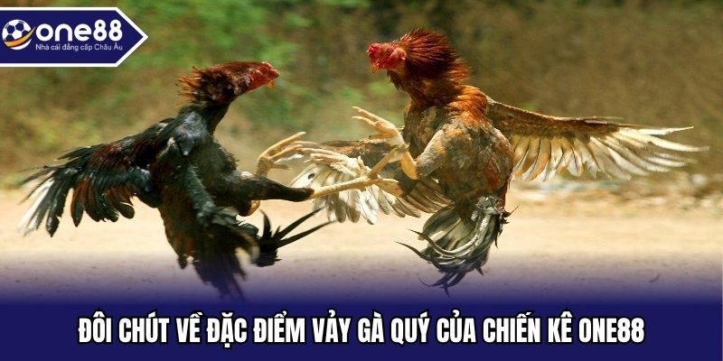 Đôi chút về đặc điểm vảy gà quý của chiến kê One88