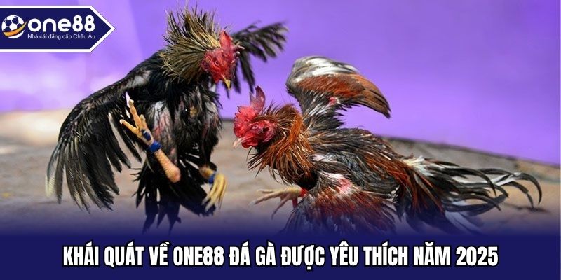 Khái quát về ONE88 đá gà được yêu thích năm 2025