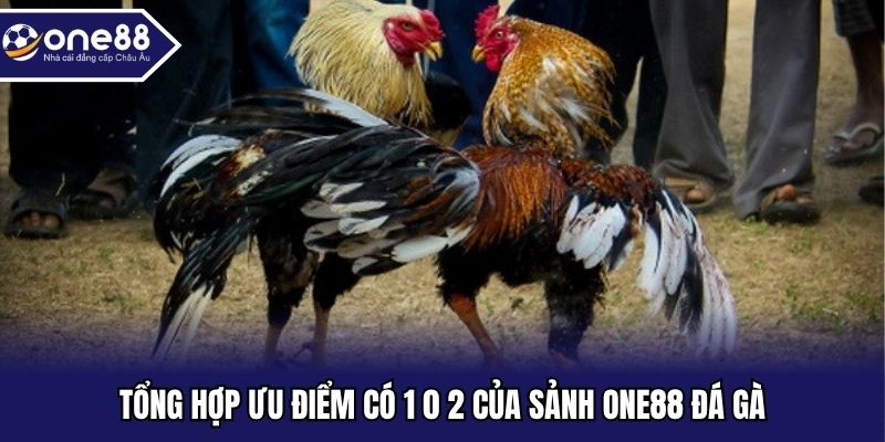 Tổng hợp ưu điểm có 1 0 2 của sảnh ONE88 đá gà