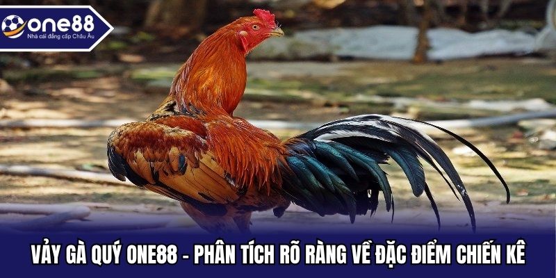 Vảy gà quý